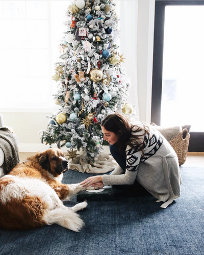 Chris Loves Julia posts about Pearhead's pawprints ornament