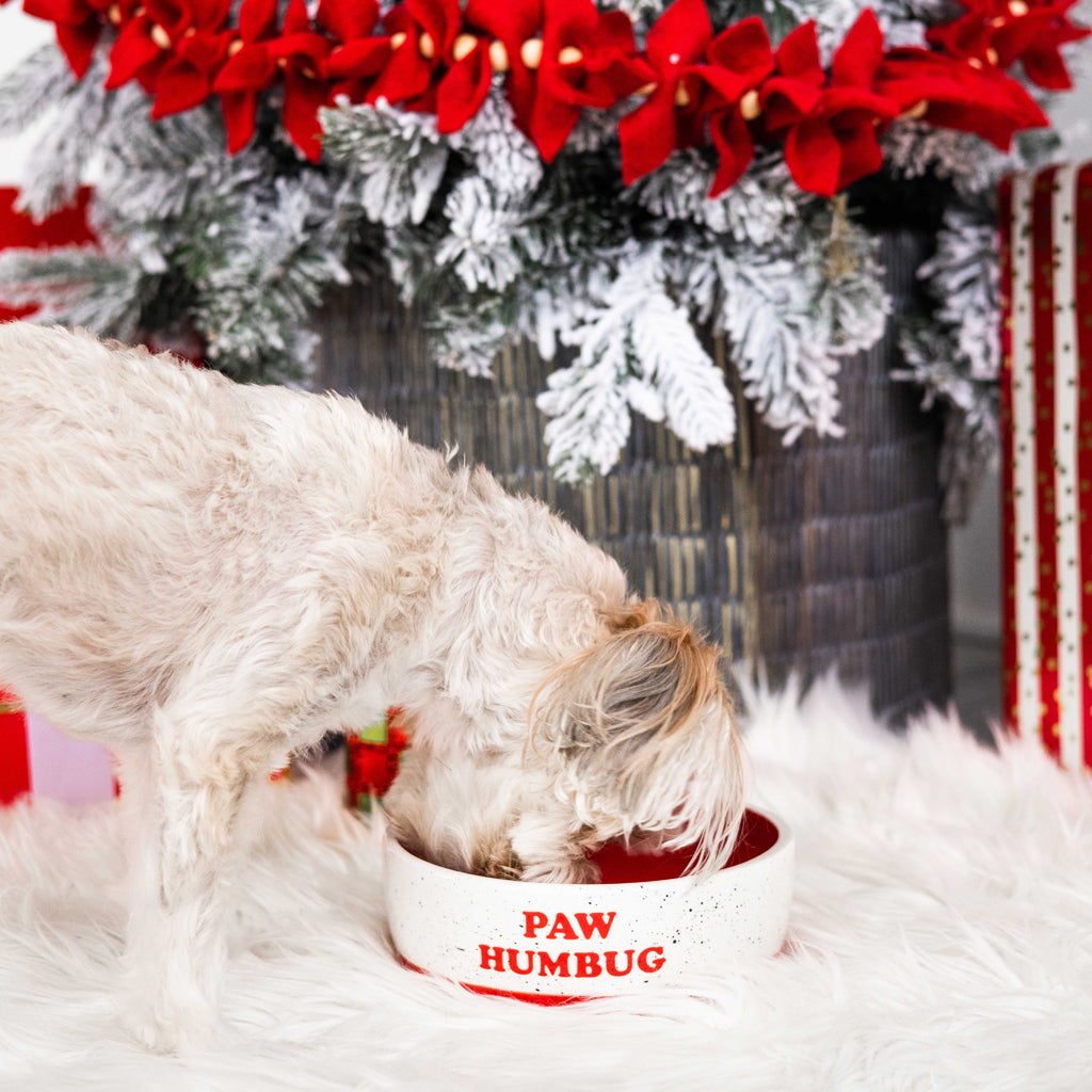 holiday dog bowl (md)