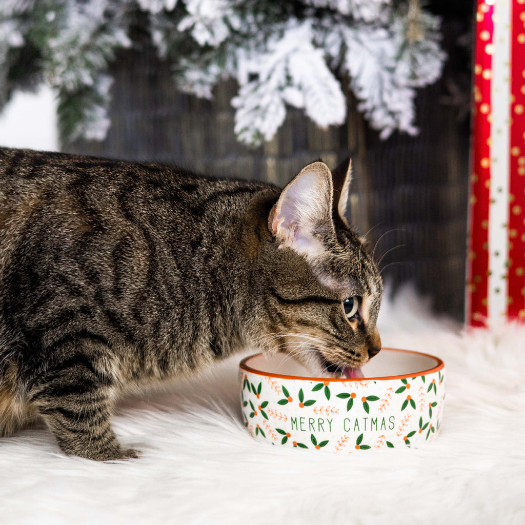 holiday cat bowl (sm)