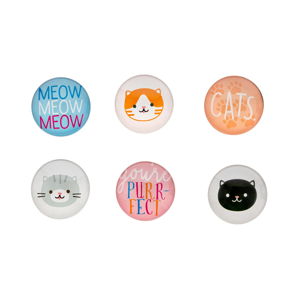 Pearhead's cat glass magnets