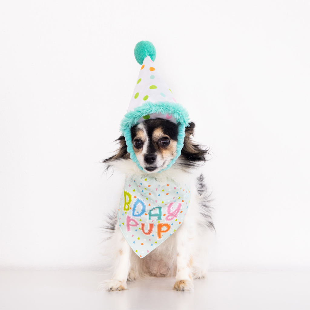 birthday pup dog bandana and hat set