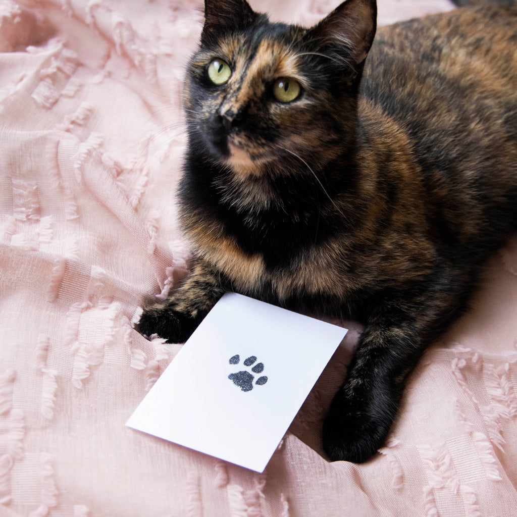 A photo of a cat with the clean-touch ink pad.