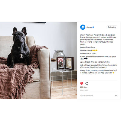 pawprints desk frame gets a nod on Chewy.com's Instagram