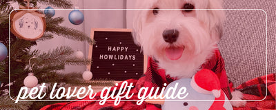gifts for the pet lover: holiday pet gift guide