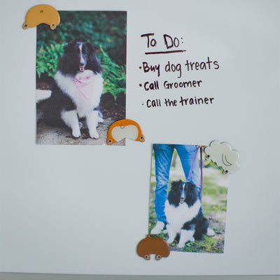 dog butt magnets