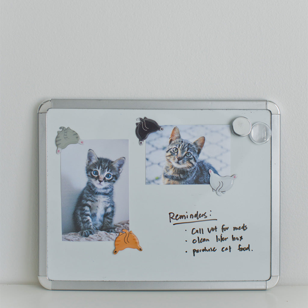cat butt magnets