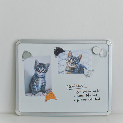 cat butt magnets