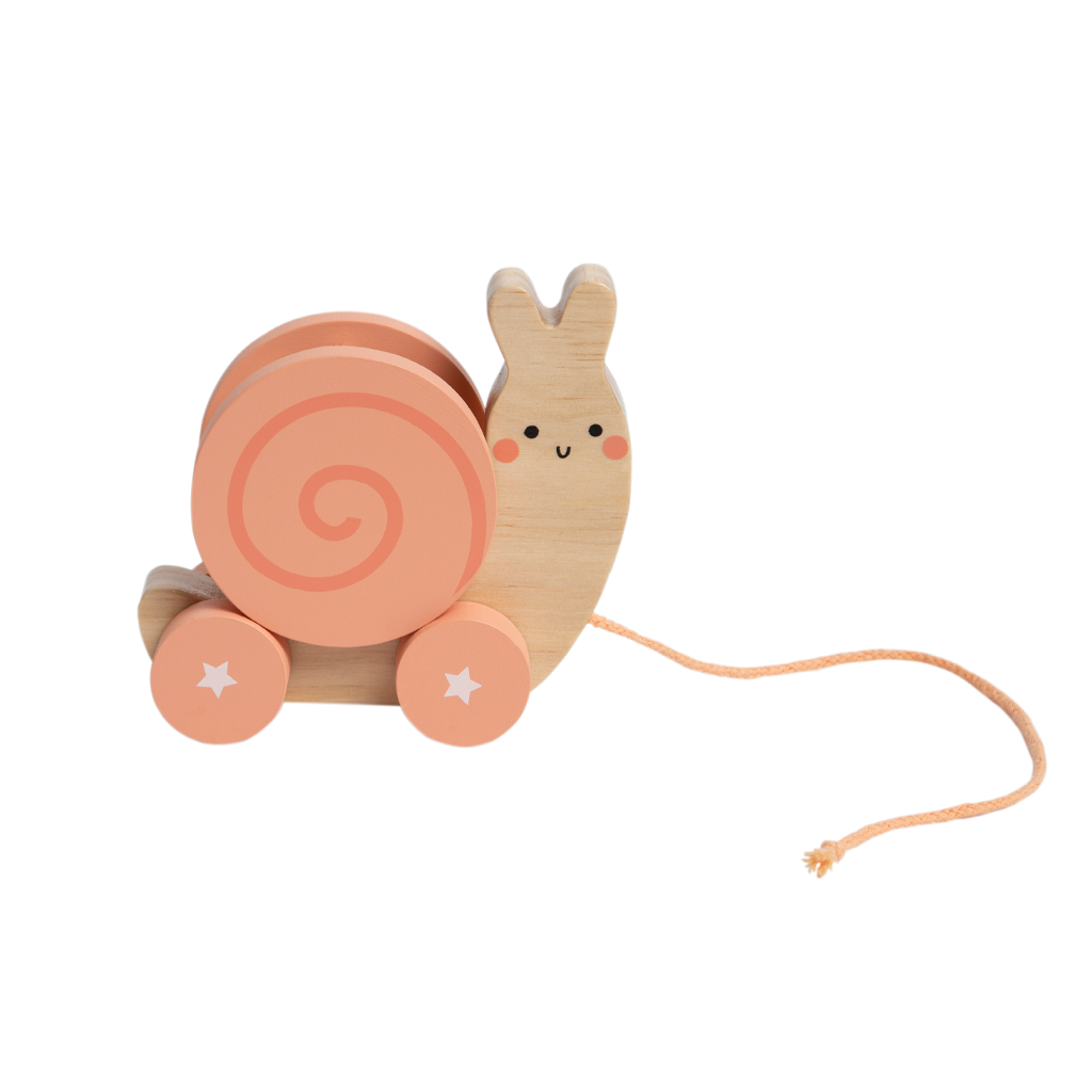 snail wooden pull toy