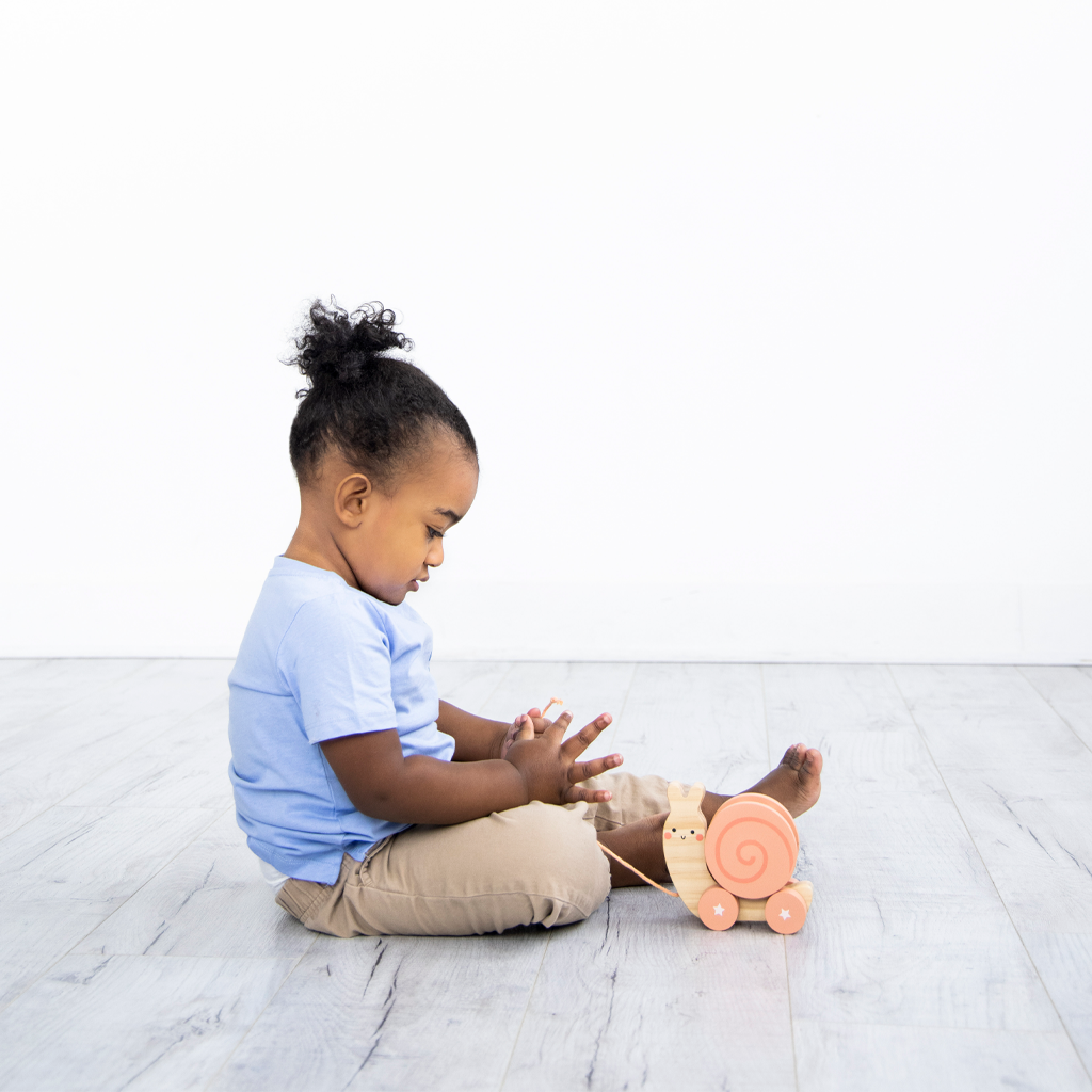 snail wooden pull toy