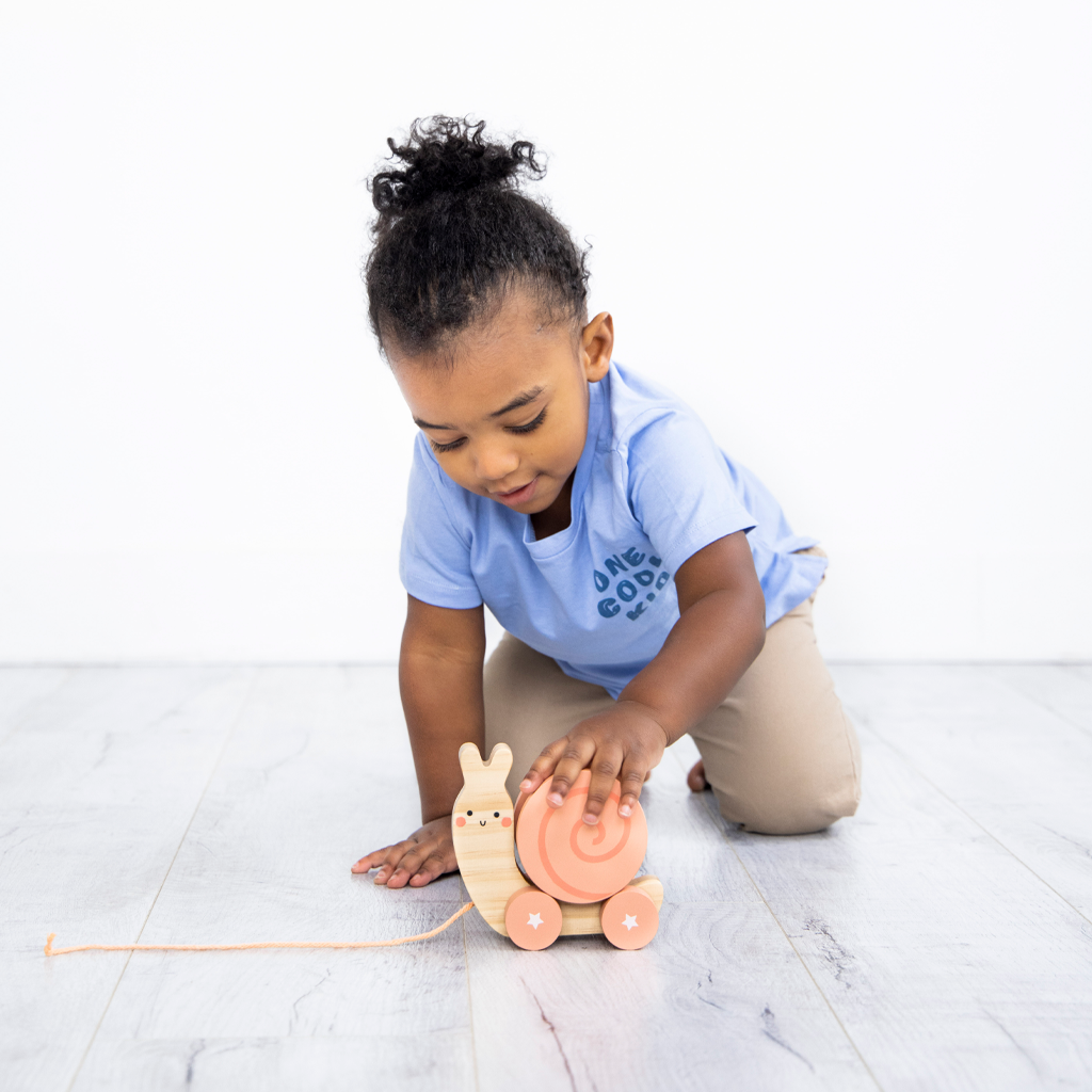 snail wooden pull toy