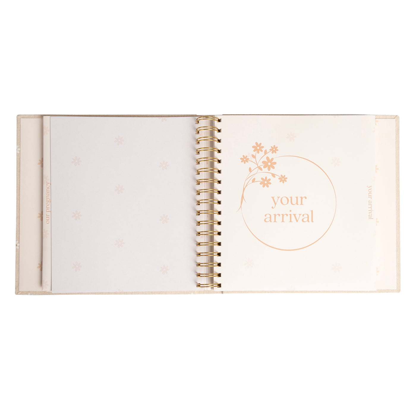 daisy print baby book