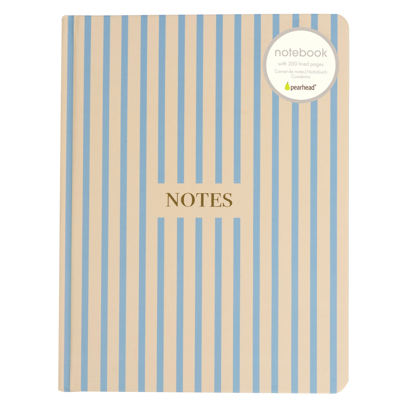 cream and blue stripe journal