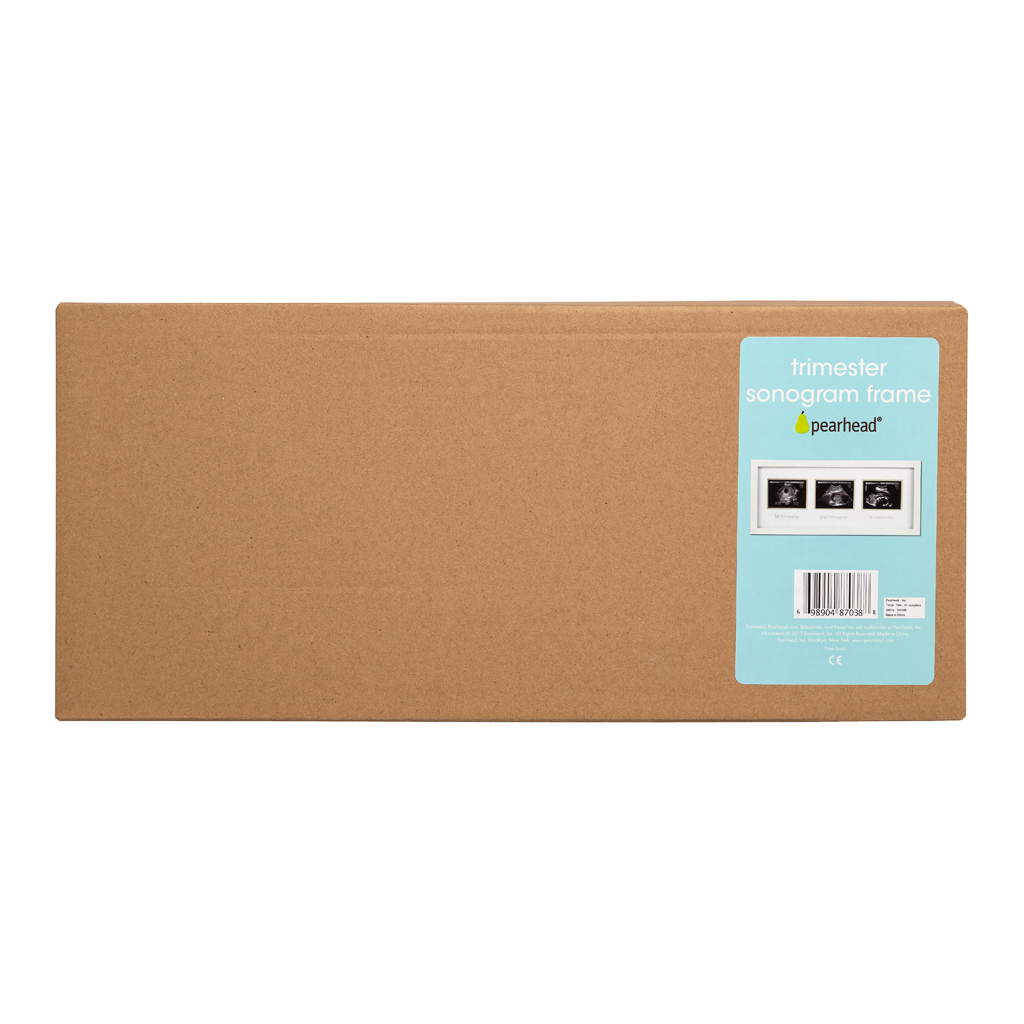 trimester sonogram frame