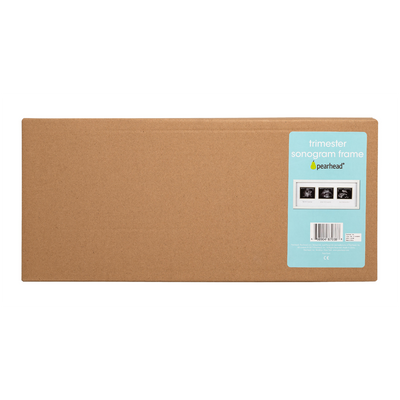 trimester sonogram frame