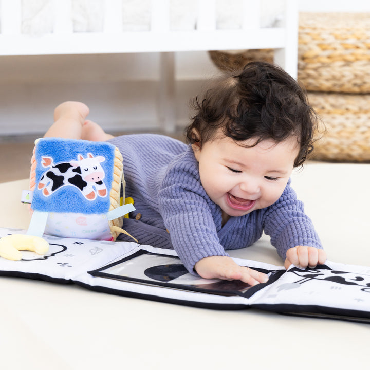 Pearhead Learning Kit for Babies 6-12 Months, 8 in 1 Learning Educational S learning kit (0-6 months)