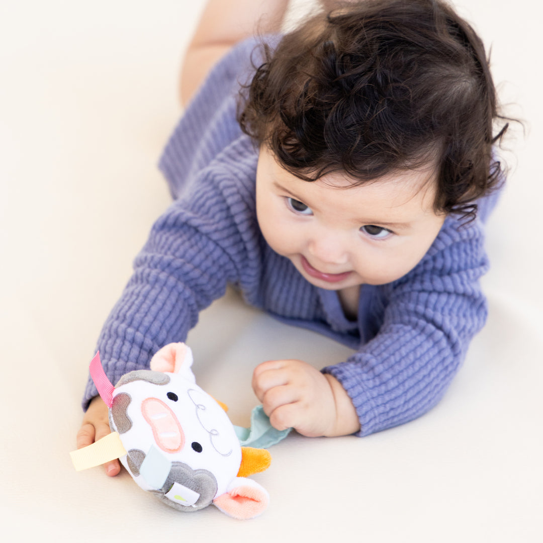 Pearhead Learning Kit for Babies 6-12 Months, 8 in 1 Learning Educational S learning kit (0-6 months)