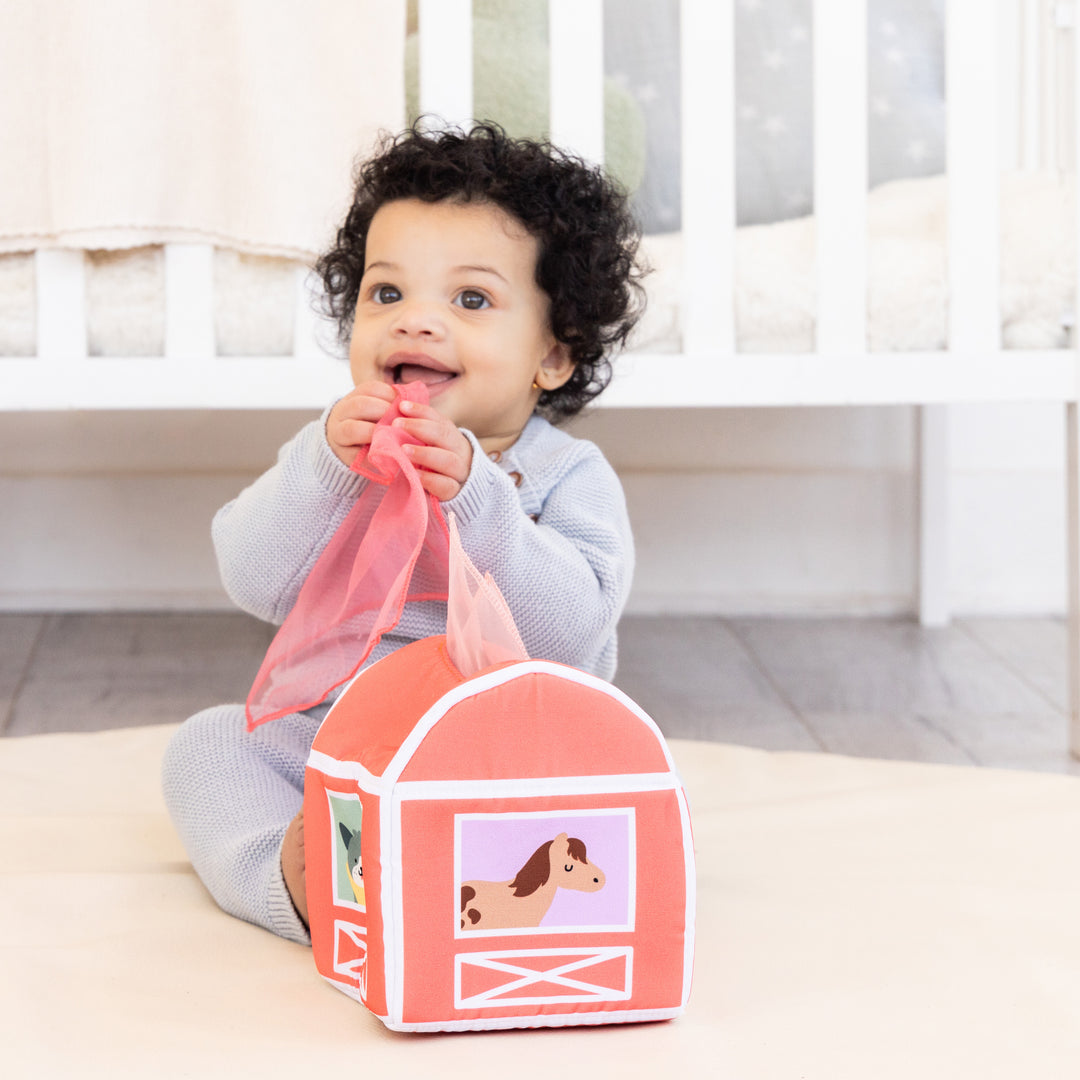 Pearhead Learning Kit for Babies 6-12 Months, 8 in 1 Learning Educational S learning kit (0-6 months)