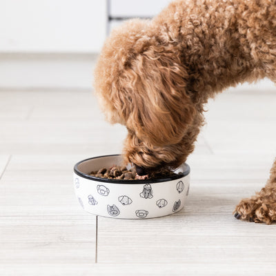 dog bowl (md)