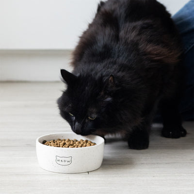 cat bowl (sm)