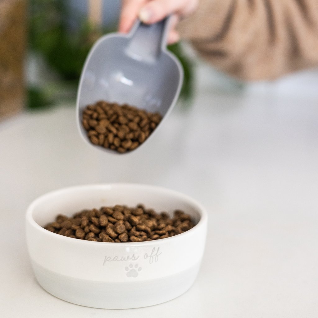 cat bowl (sm)