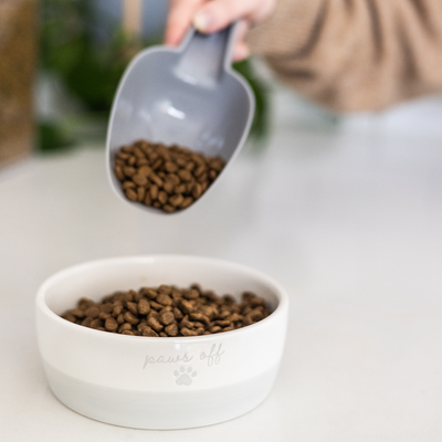 cat bowl (sm)