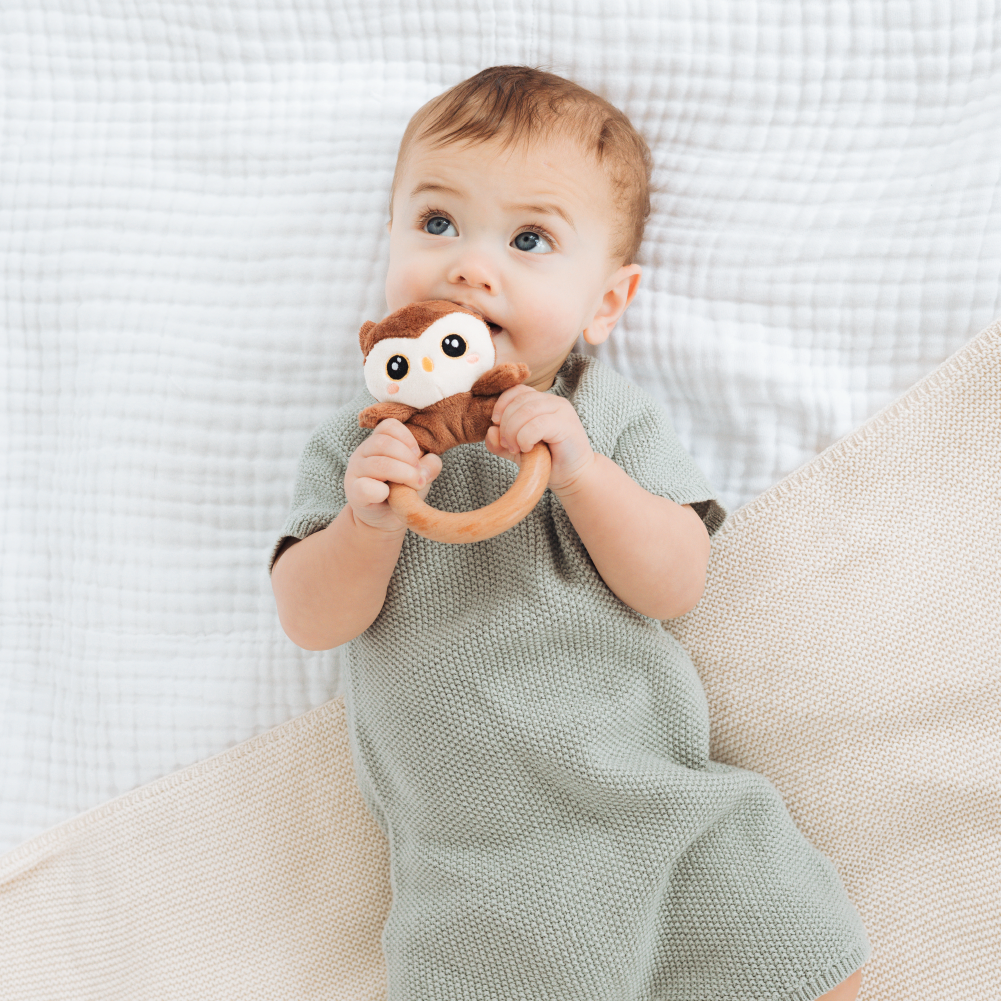 owl wooden teether