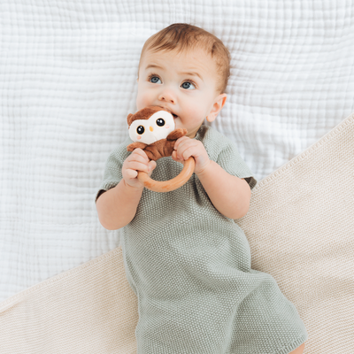 owl wooden teether