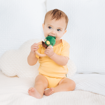 mallard duck wooden teether