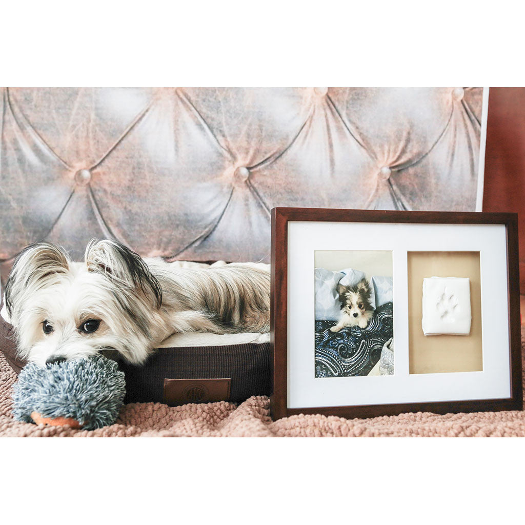 Pearhead pawprints cheap