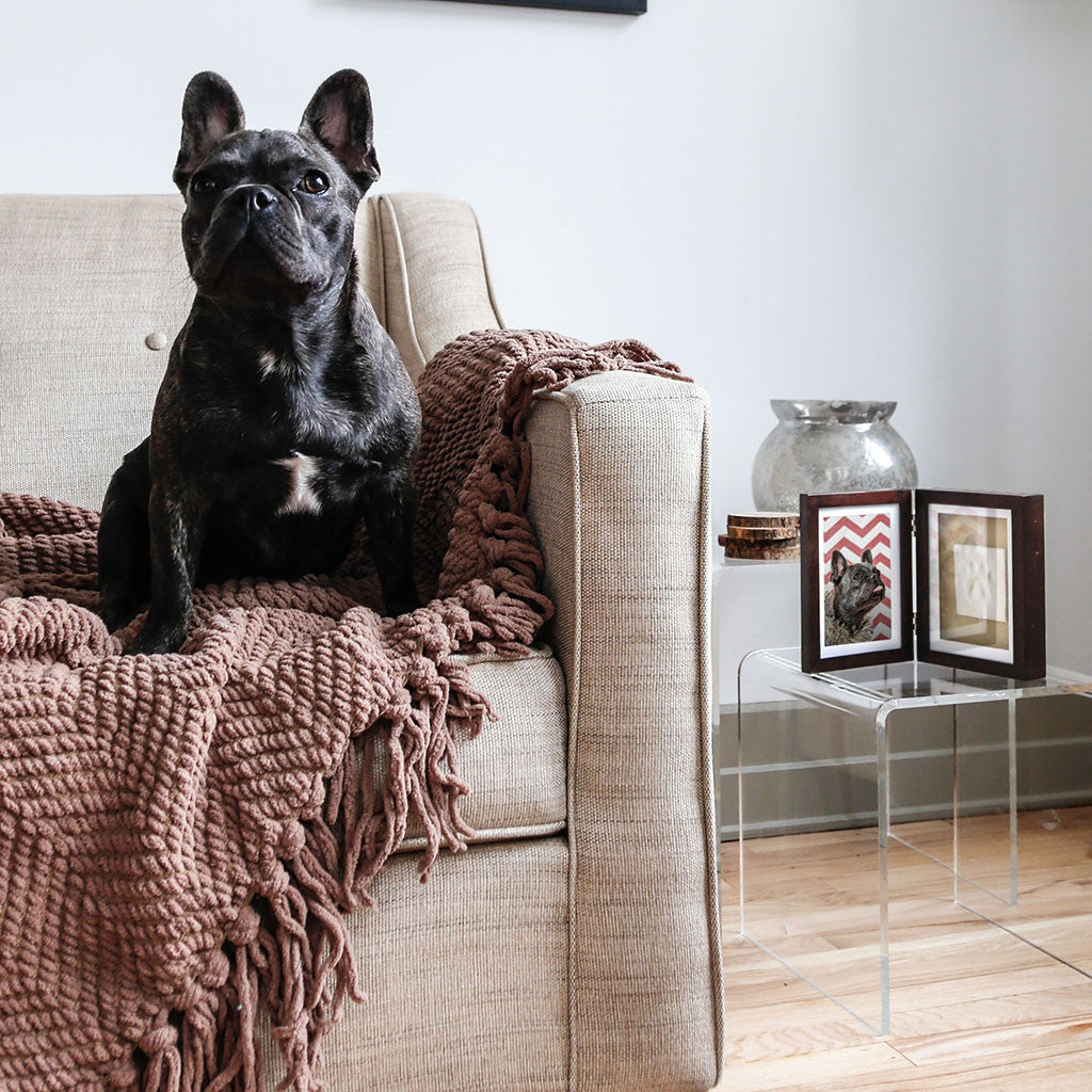 Pet Study Frame pet desk frame – Pearhead