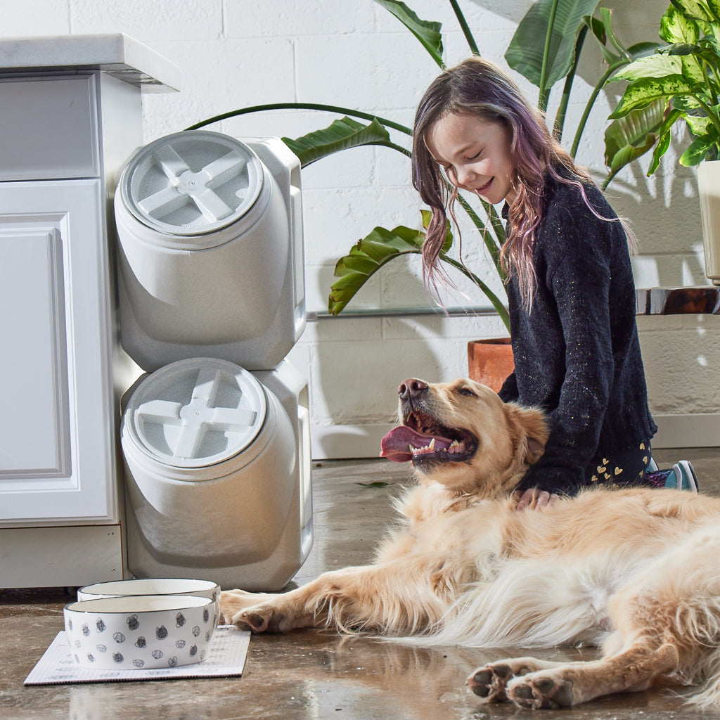 dog print food mat