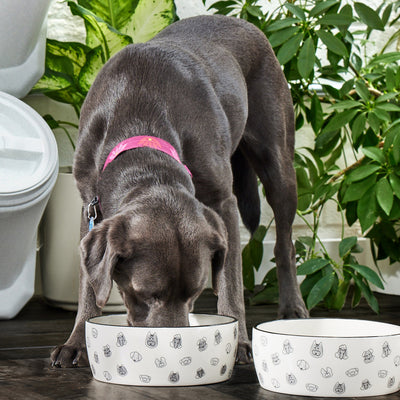 dog bowl (lg)