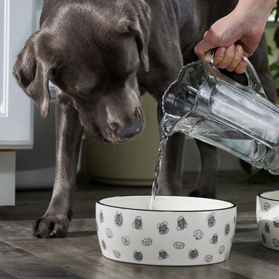 dog bowl (lg)