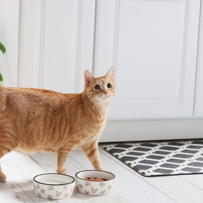 cat bowl (sm)