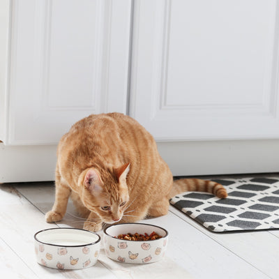 cat bowl (sm)