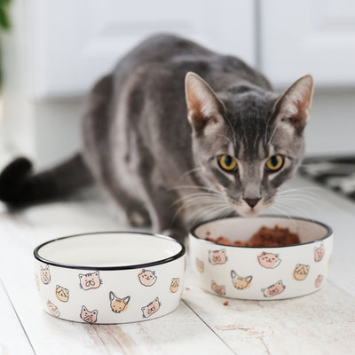 cat bowl (sm)