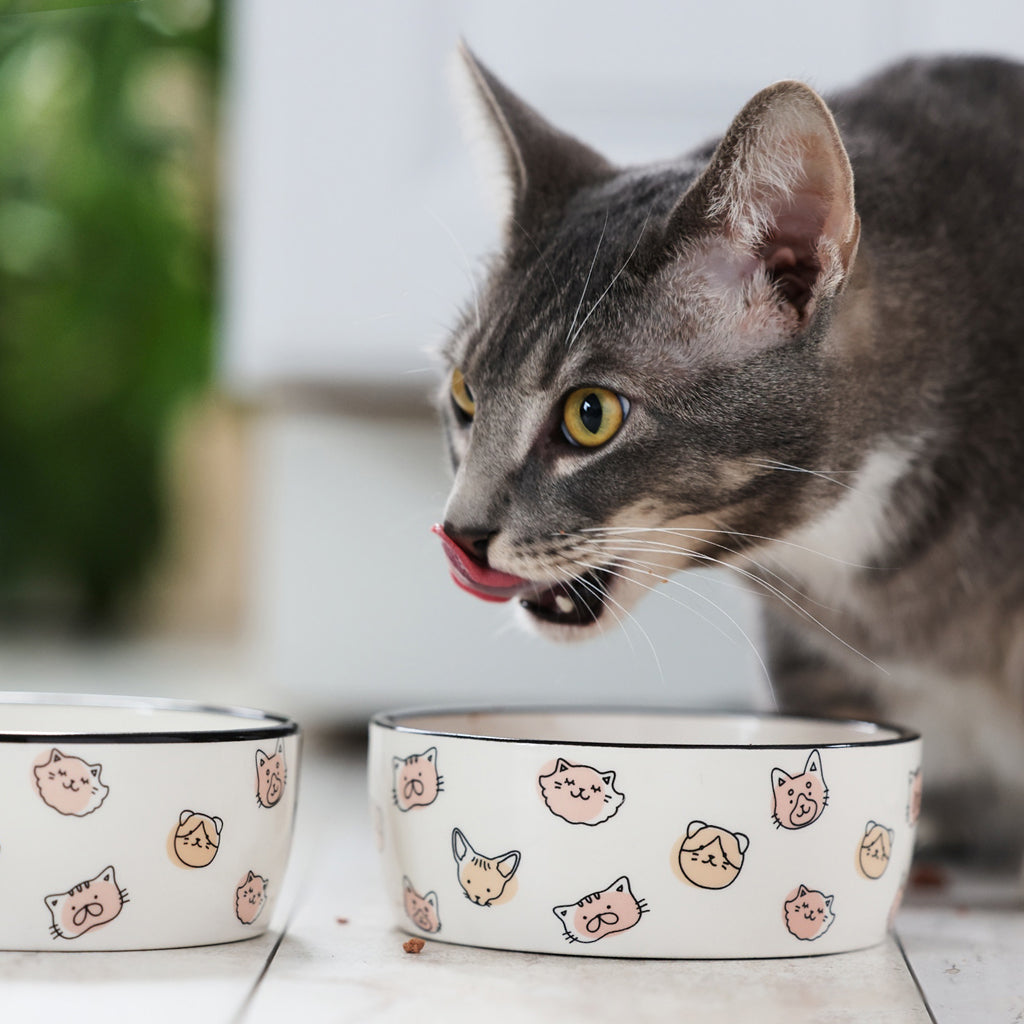 cat bowl sm Pearhead