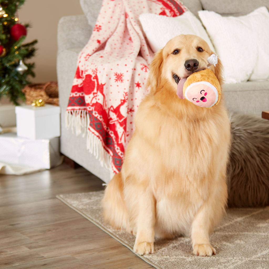 Pearhead's m.c. hammy dog toy 