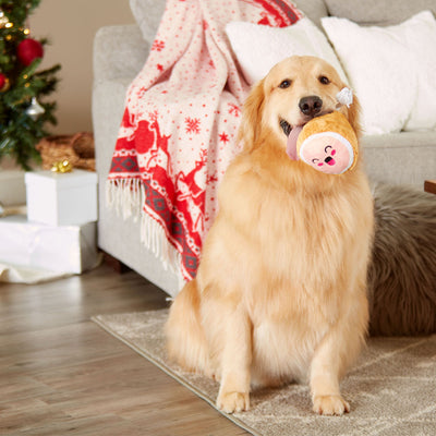 Pearhead's m.c. hammy dog toy 