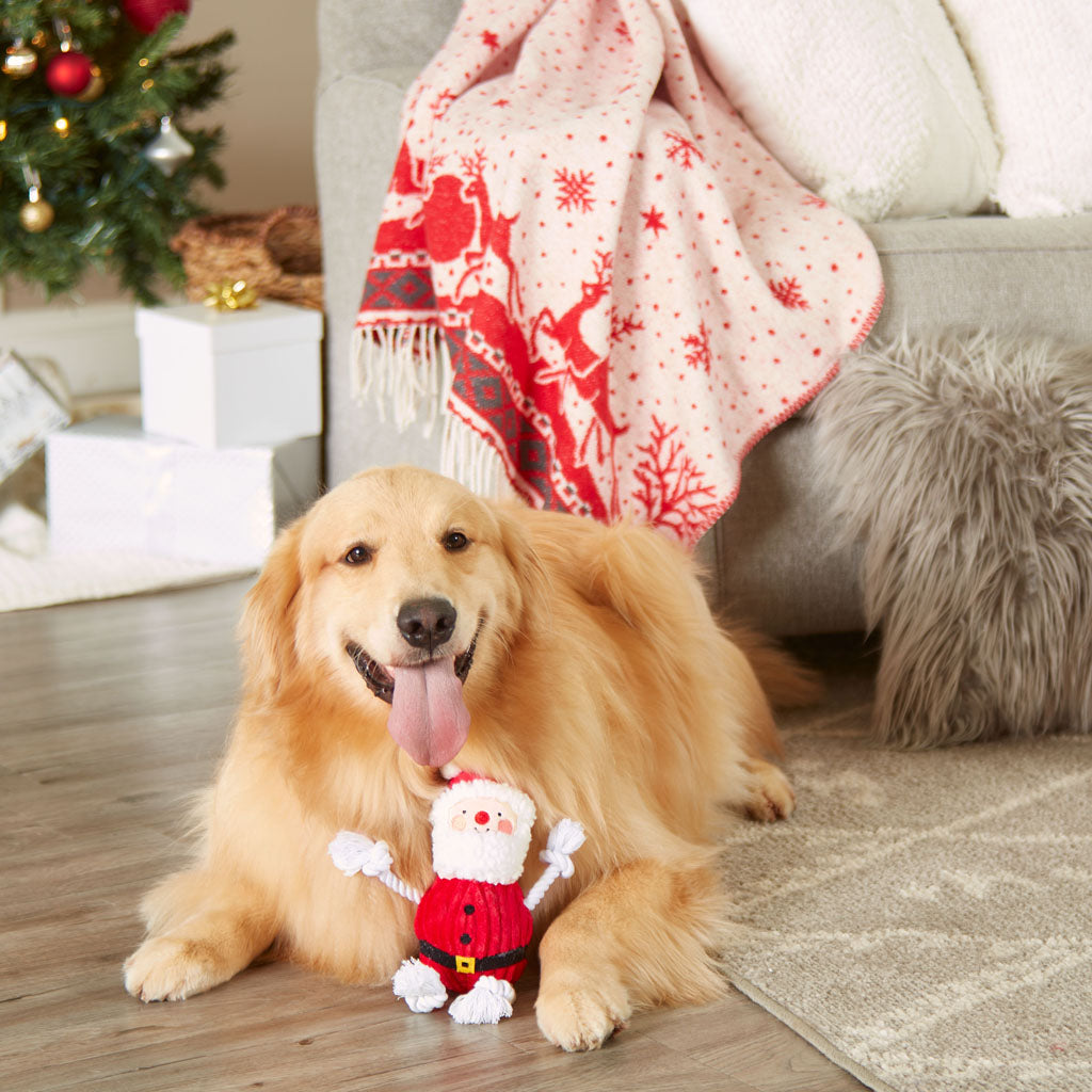 santa dog toy – Pearhead