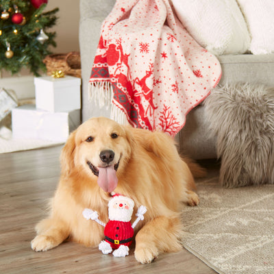Pearhead's the real santa claus dog toy 