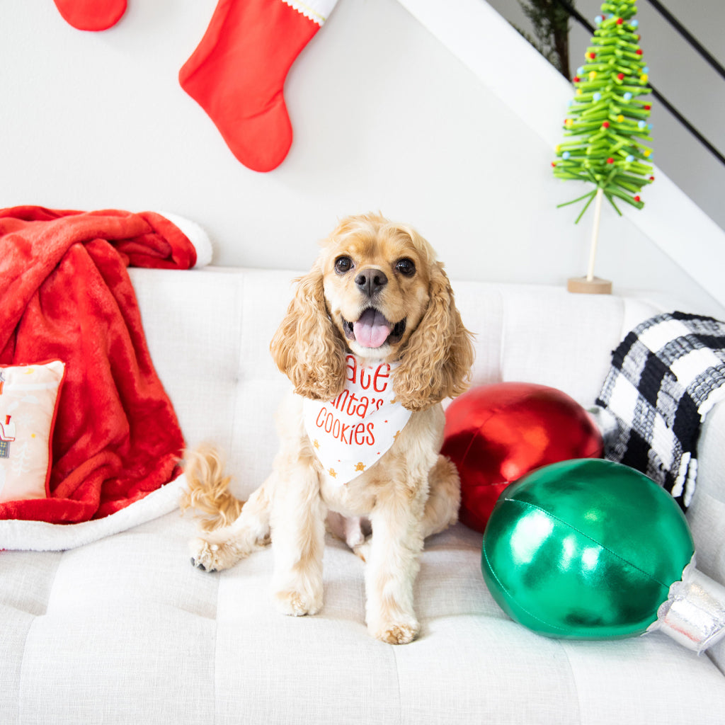 santa's cookies pet bandana (s/m)