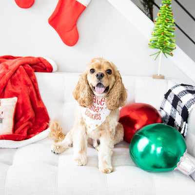 santa's cookies pet bandana (s/m)