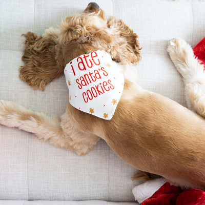 santa's cookies pet bandana (s/m)