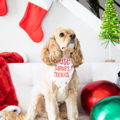 santa's cookies pet bandana (s/m)