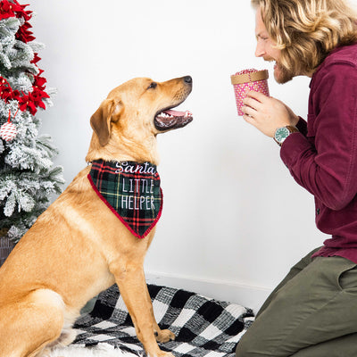 santa's little helper pet bandana (m/l)