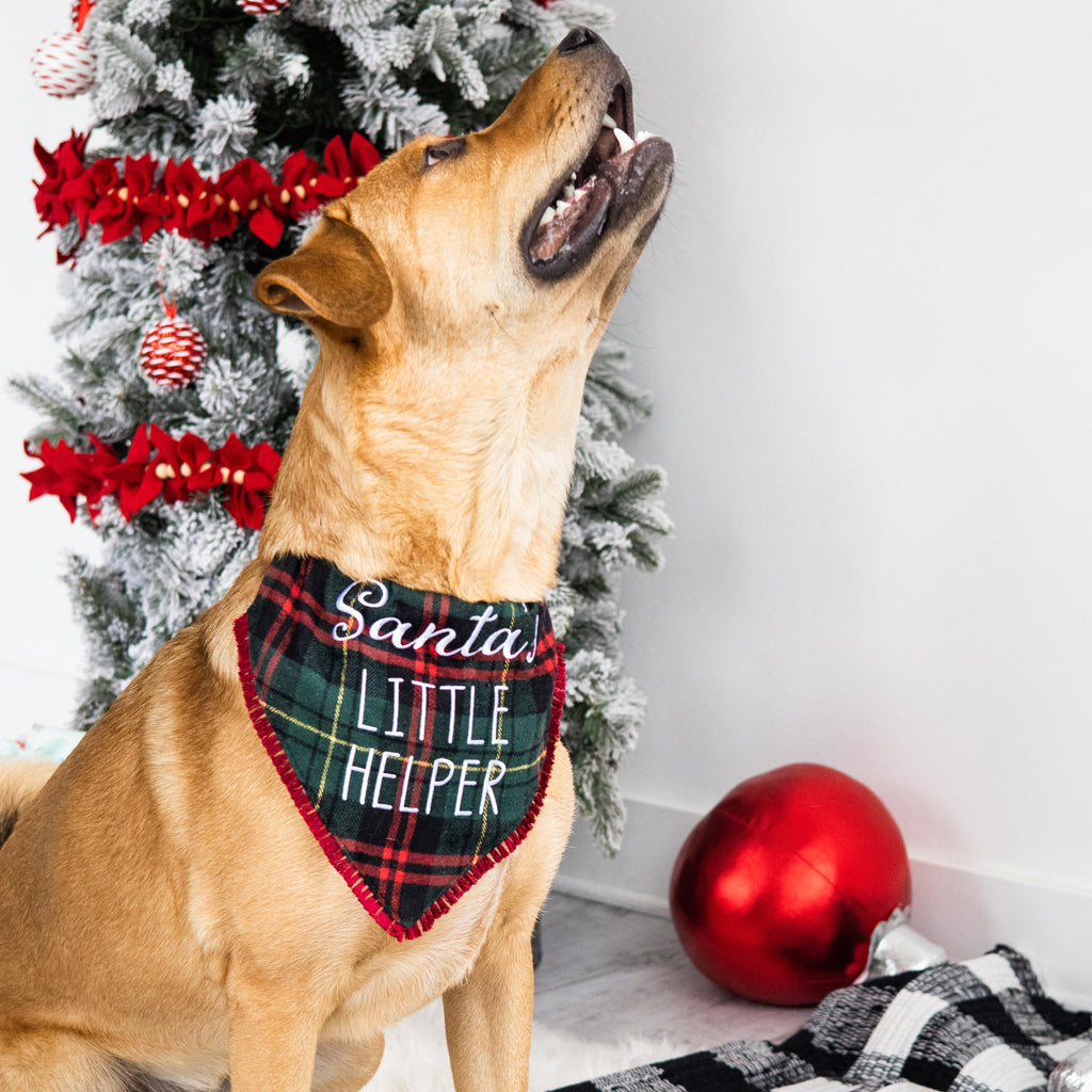 Christmas dog bandanas top