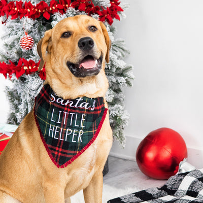 santa's little helper pet bandana (m/l)