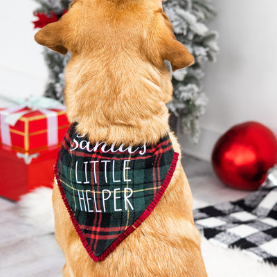 santa's little helper pet bandana (m/l)