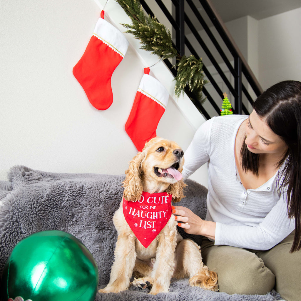 Pet christmas bandanas deals